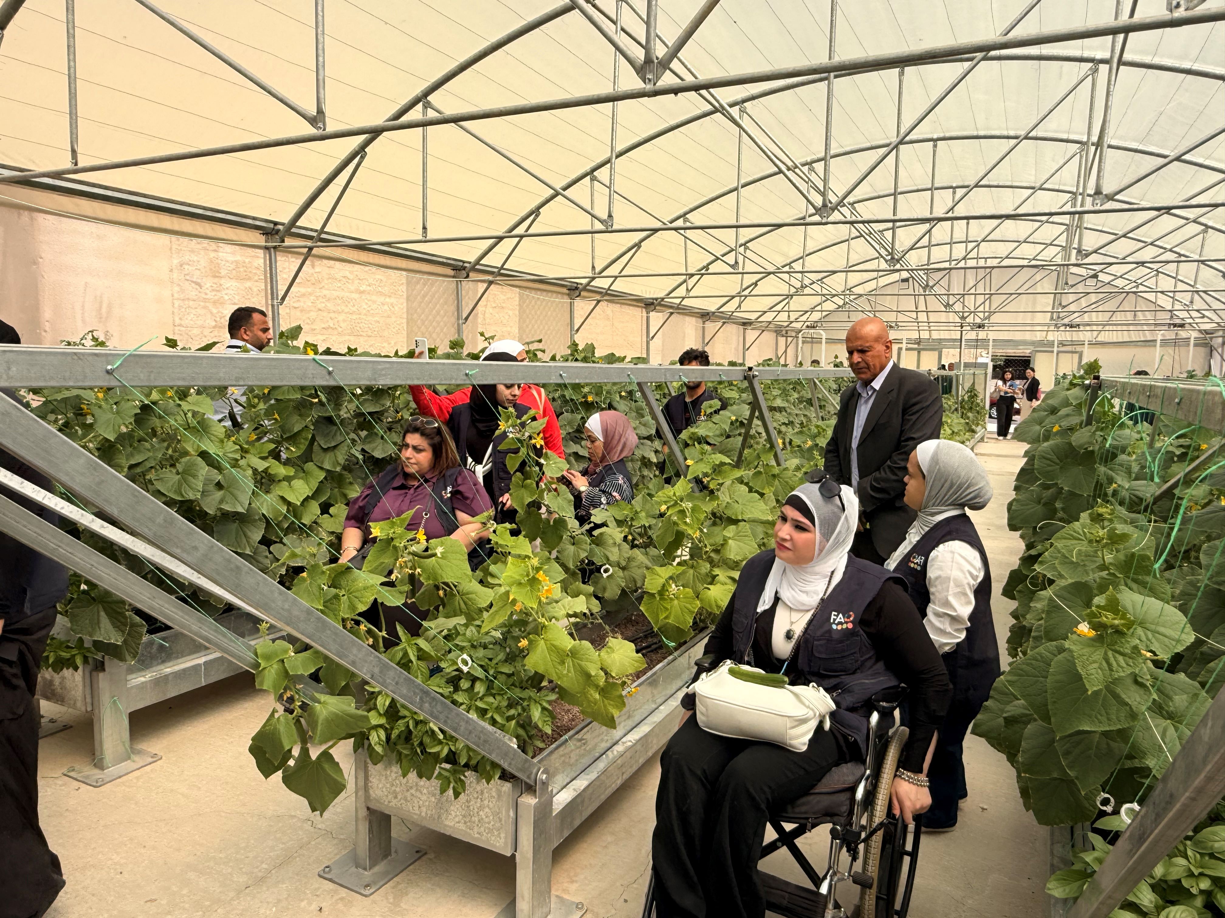 منظمة الأغذية والزراعة تطلق مشروع "AGRI-FIT" لتمكين الأشخاص ذوي الإعاقة في الأردن عبر الزراعة المبتكرة